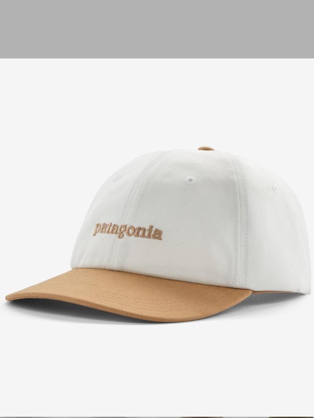 NWT Patagonia Fitz Roy Icon Trad Cap